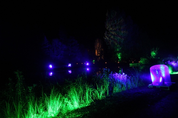 Illumina   077.jpg